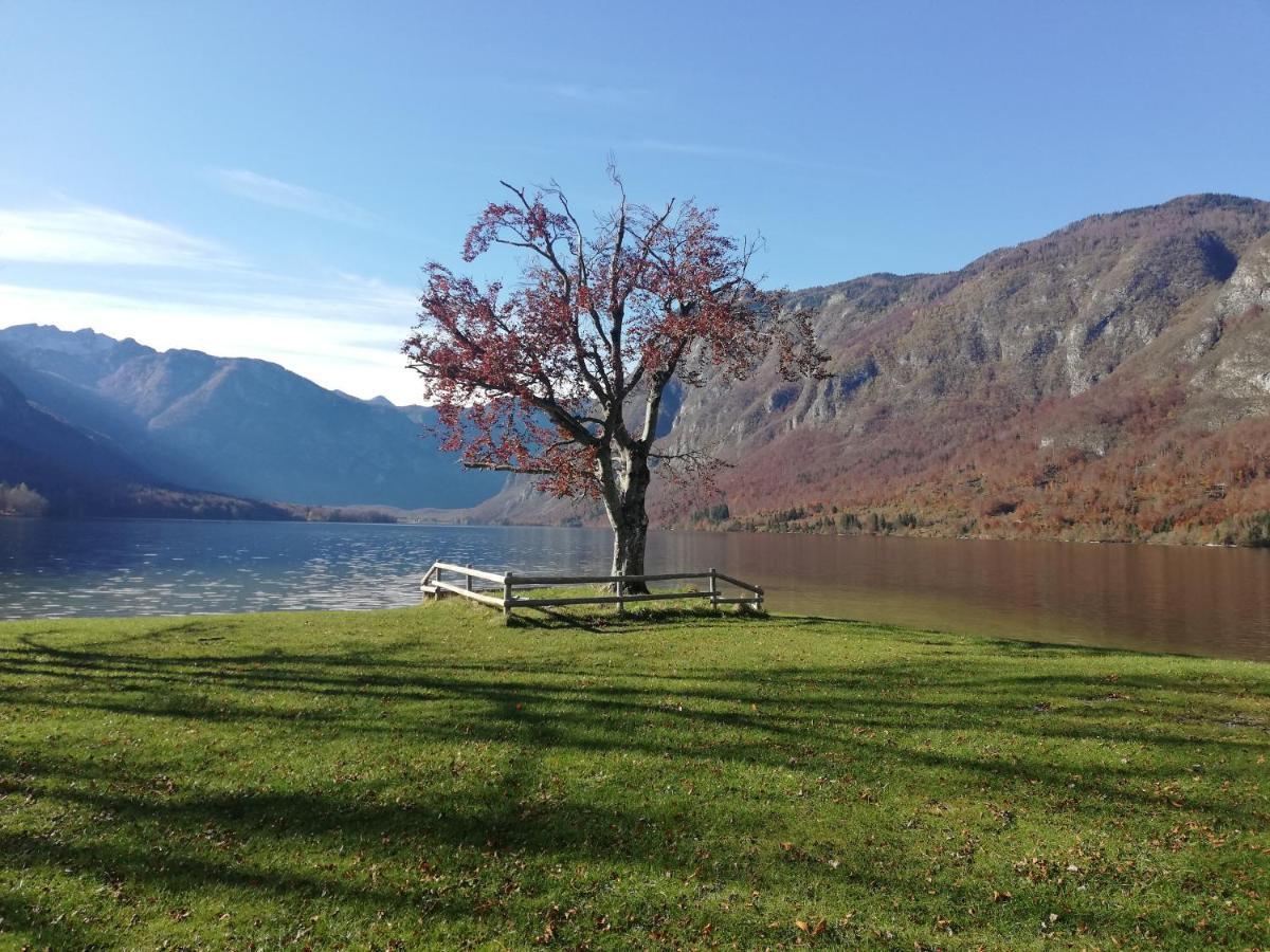 Apartman Ana Bohinji-tó