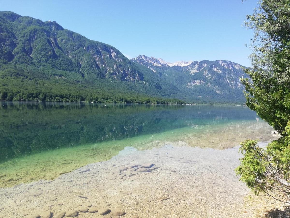 Ana Bohinji-tó