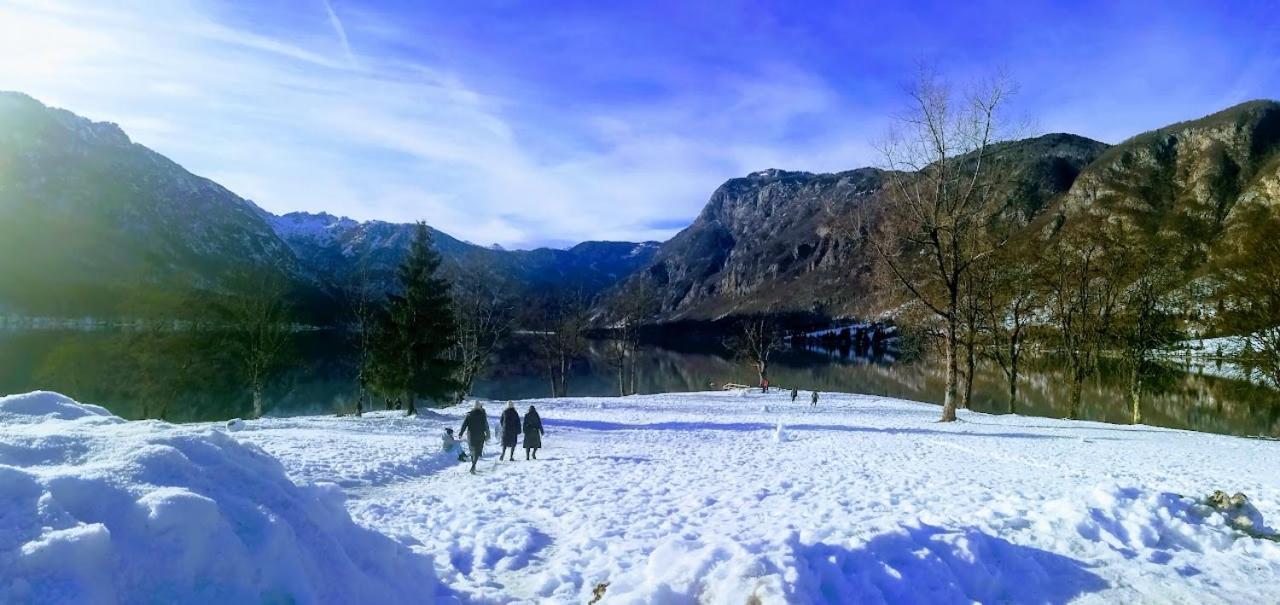 Ana Bohinji-tó