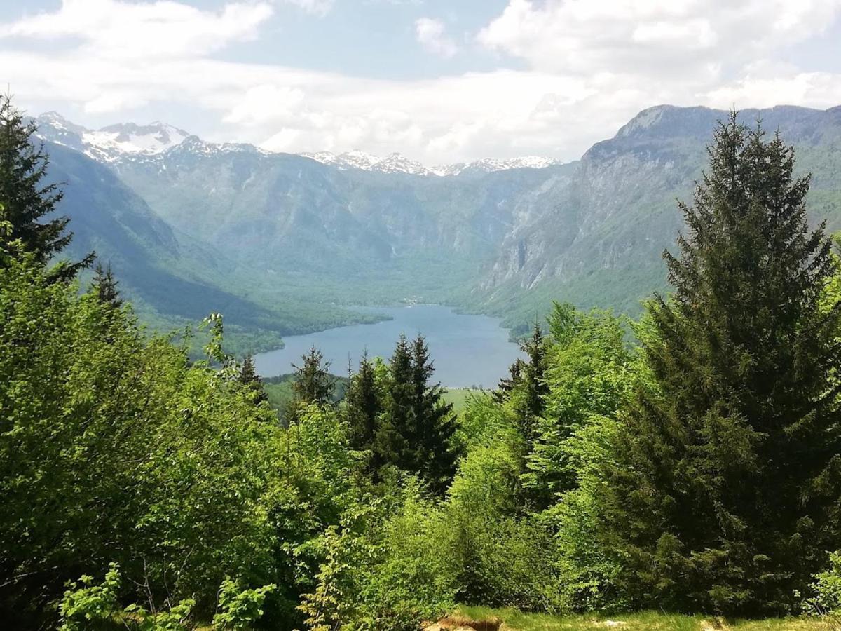 Apartman Ana Bohinji-tó