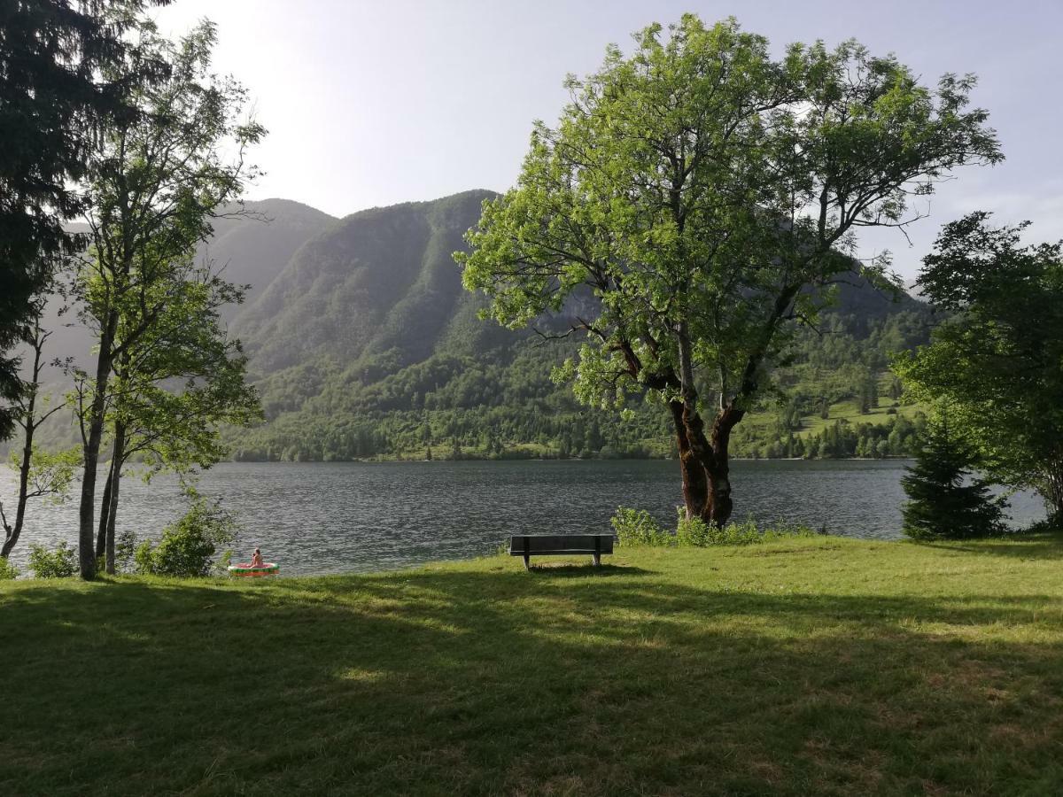 Ana Bohinji-tó
