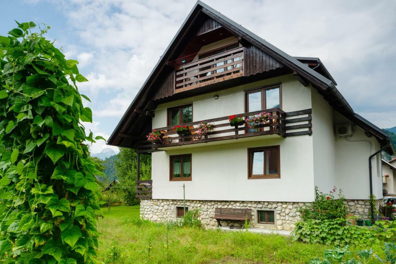 Apartman Ana Bohinji-tó