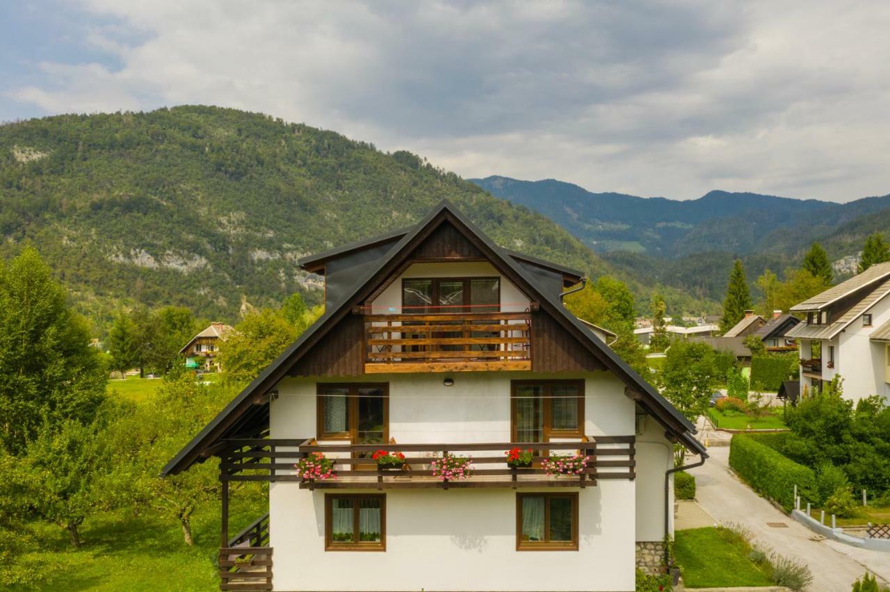Apartman Ana Bohinji-tó
